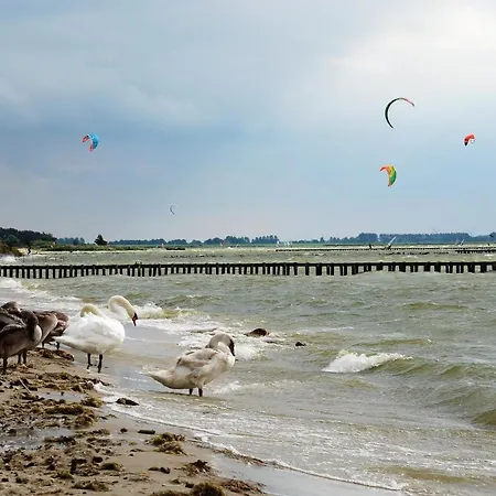 Uit Alle Windstreken-2
